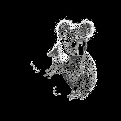 koala1